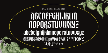 Nightwoe Font Poster 13
