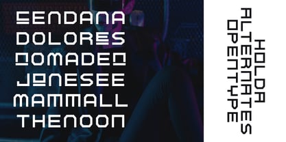 Holda Font Poster 4