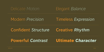Estima Pro Font Poster 3