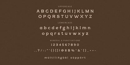 La Paneru Font Poster 8