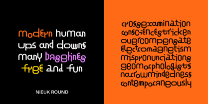 Nieuk Font Poster 3