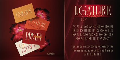 Avlemane Font Poster 5