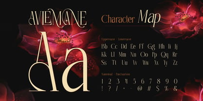 Avlemane Font Poster 2