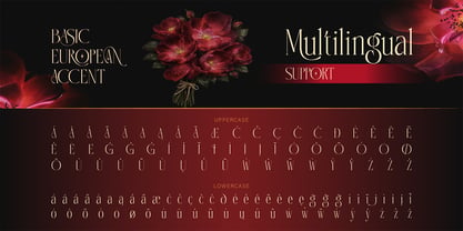 Avlemane Font Poster 10