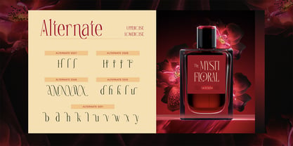 Avlemane Font Poster 9