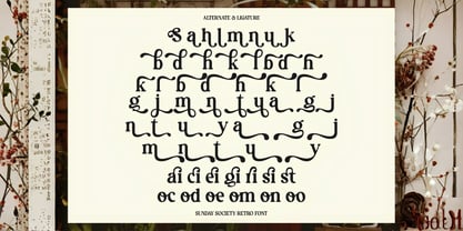 Sunday Society Font Poster 5