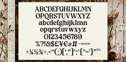 Sunday Society Font Poster 6