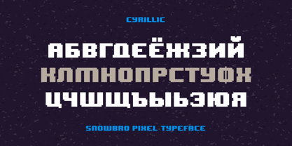 Snowbro Font Poster 12