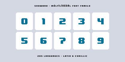 Snowbro Font Poster 14