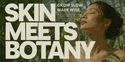 Armonia Sans VF Font Poster 7