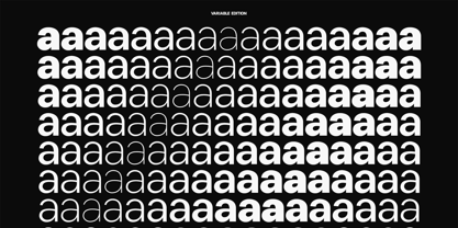 Armonia Sans VF Font Poster 3