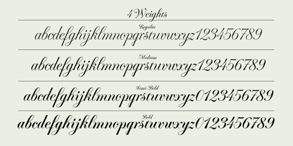 Fluctus Font Poster 3