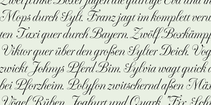 Fluctus Font Poster 13