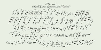 Fluctus Font Poster 8