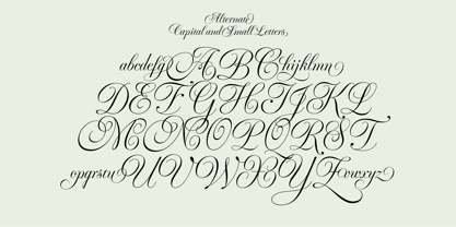Fluctus Font Poster 6