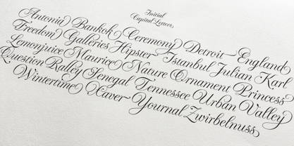 Fluctus Font Poster 10