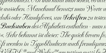 Fluctus Font Poster 2