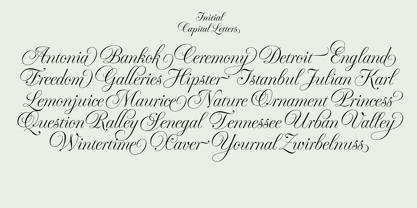 Fluctus Font Poster 9