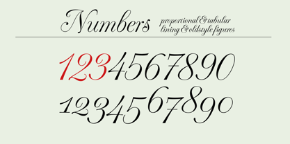 Fluctus Font Poster 4