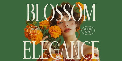 Veloria Palace Font Poster 4