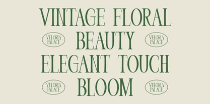 Veloria Palace Font Poster 3