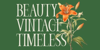Veloria Palace Font Poster 2