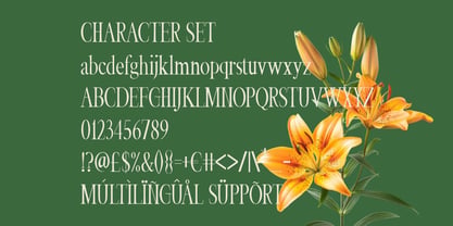 Veloria Palace Font Poster 6