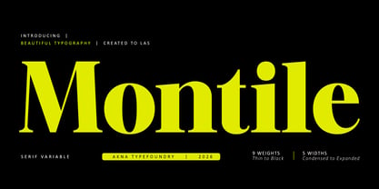 Montile Font Poster 1