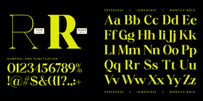 Montile Font Poster 7