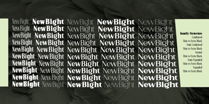 New Bight Font Poster 4