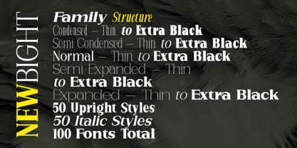 New Bight Font Poster 5