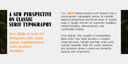 New Bight Font Poster 2