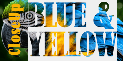 New Bight Font Poster 3