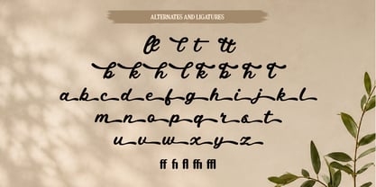 Nabellin Font Poster 11