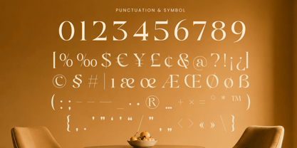 Borine Font Poster 11
