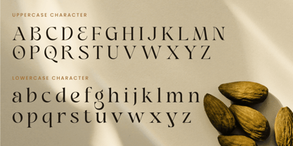 Borine Font Poster 10