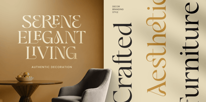 Borine Font Poster 8