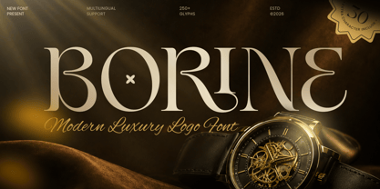 Borine Font Poster 1