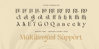 Borine Font Poster 12