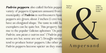 Safieka Grillex Font Poster 9