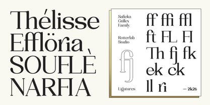 Safieka Grillex Font Poster 14