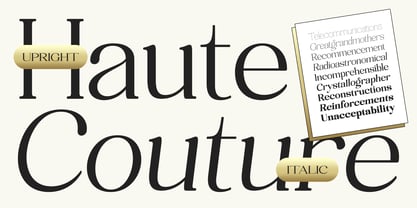 Safieka Grillex Font Poster 4