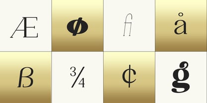 Safieka Grillex Font Poster 10