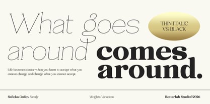 Safieka Grillex Font Poster 8