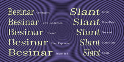 Besinar Font Poster 14