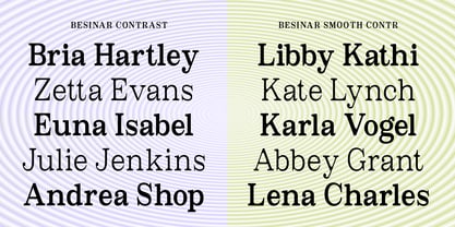 Besinar Font Poster 13