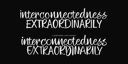 Emotional Motion Font Poster 15