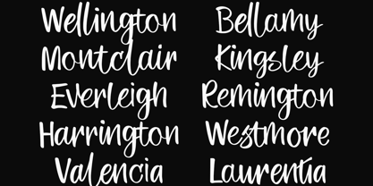 Emotional Motion Font Poster 6