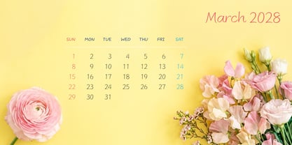 ZFScribelle Font Poster 5
