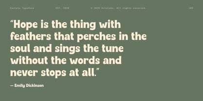 Cartela Font Poster 12